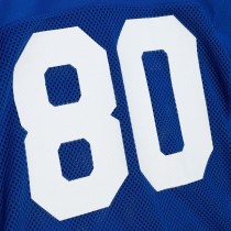 Men's Seattle Seahawks 1985 Steve Largent Number 80 Mitchell & Ness Royal Authentic Throwback Retired Player Jersey